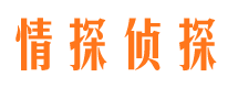 临川侦探